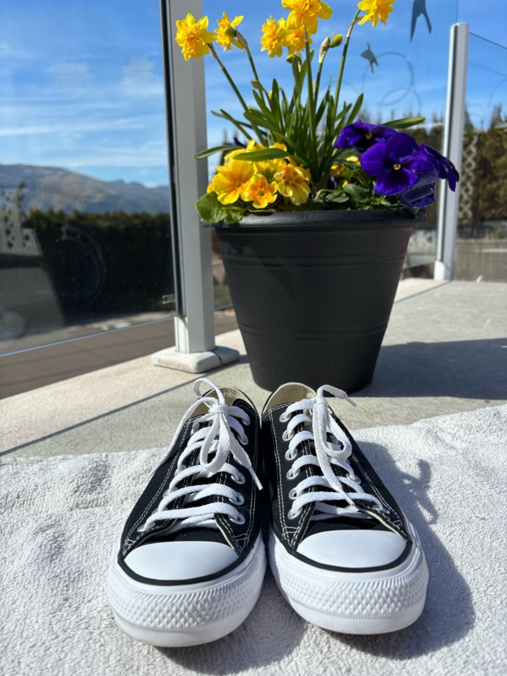 Converse Black Canvas Low-Top Sneakers with White Laces sz 8 women’s or 6 men’s